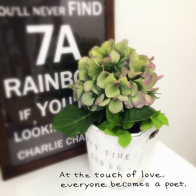 nicoさんの実例写真