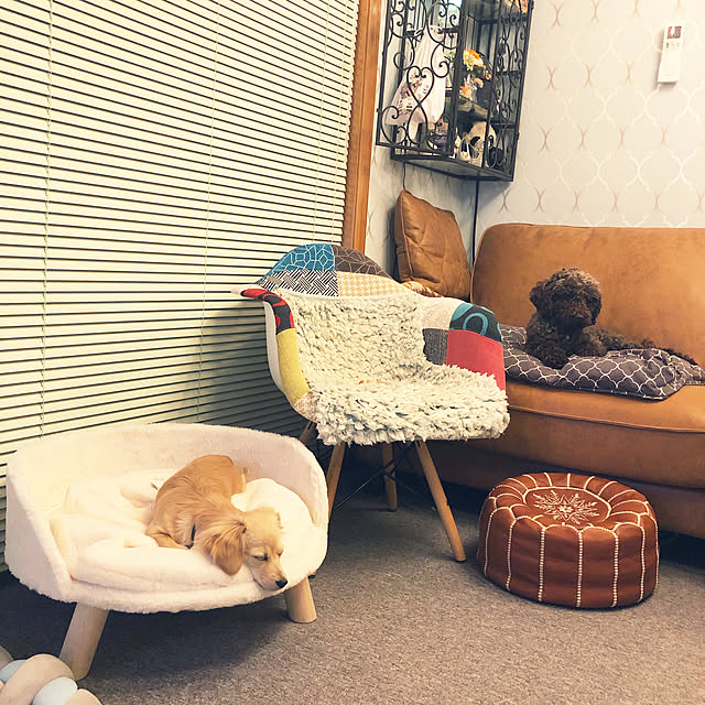 cloverさんの実例写真