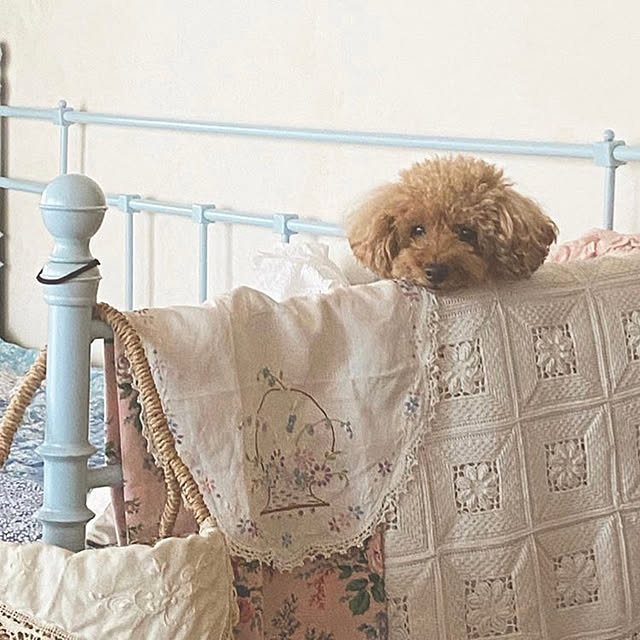 teddyさんの実例写真