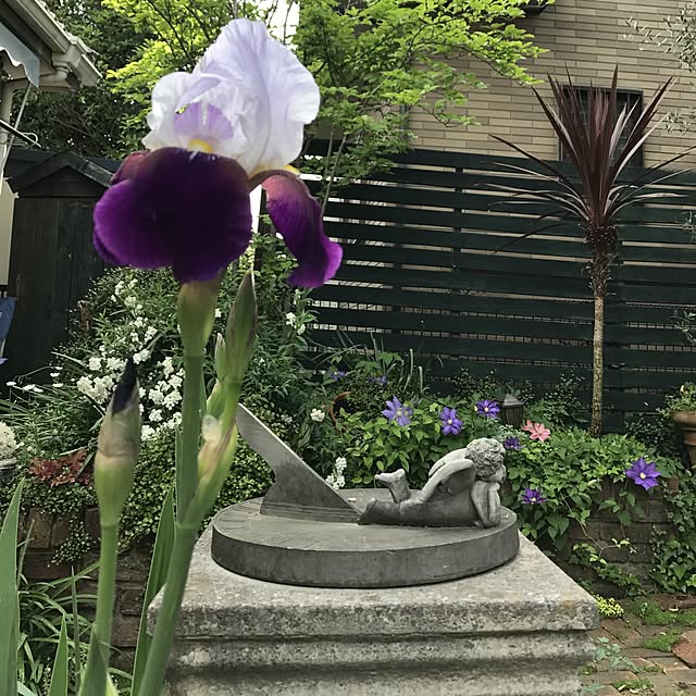 tipoさんの実例写真