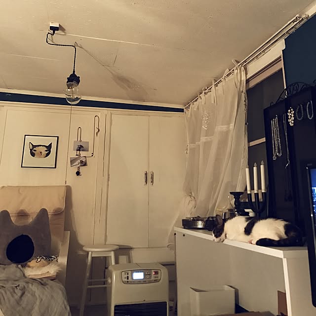 Shihoさんの実例写真