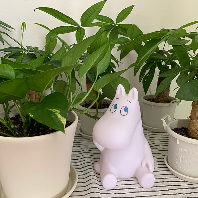 moguさんの実例写真