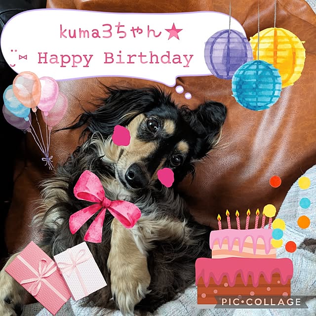 momozouさんの実例写真