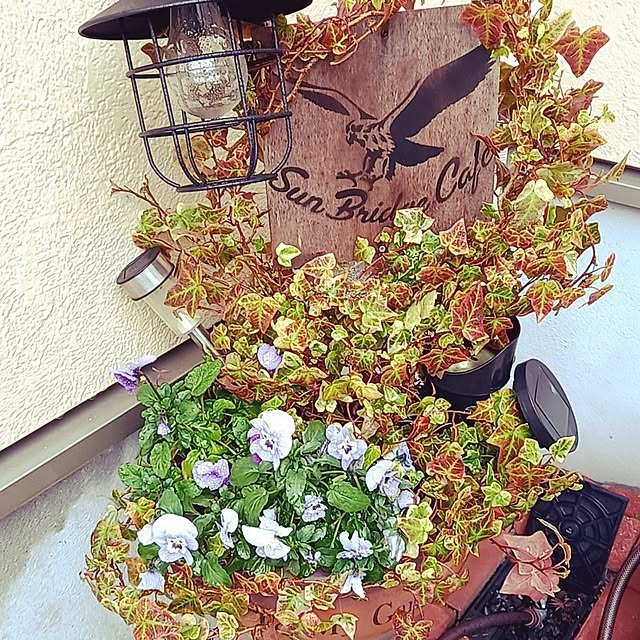 shiiitanさんの実例写真