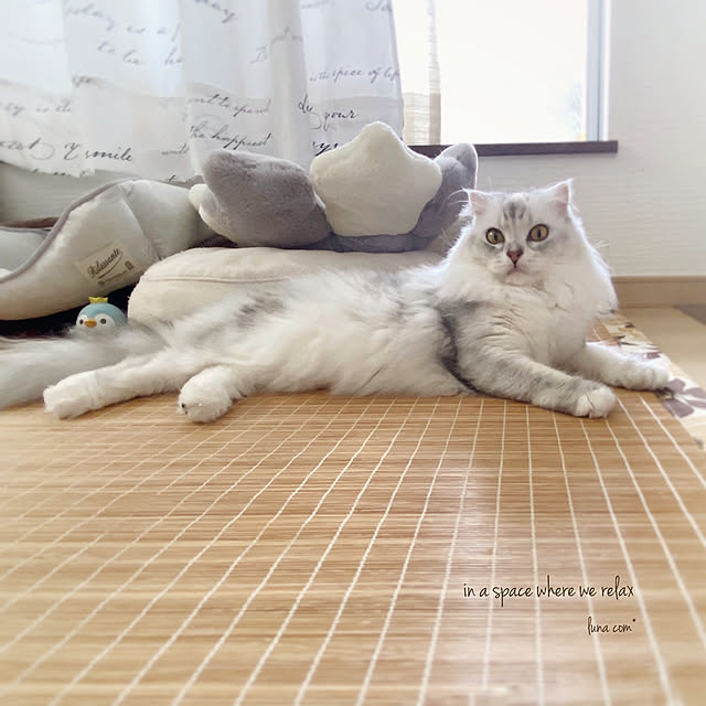 luna.comさんの実例写真