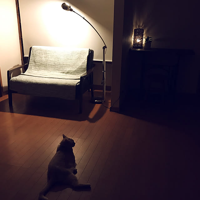 mikan161さんの実例写真