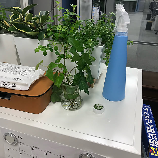 観葉植物/棚のインテリア実例 - 2020-04-18 18:47:51