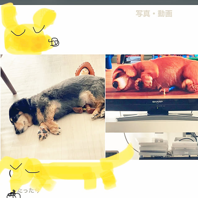 ohanaさんの実例写真
