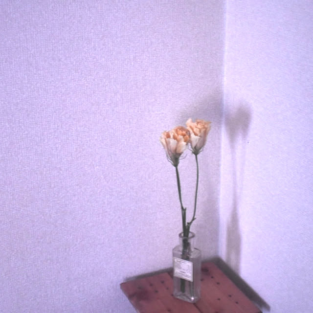 m_alpsさんの実例写真