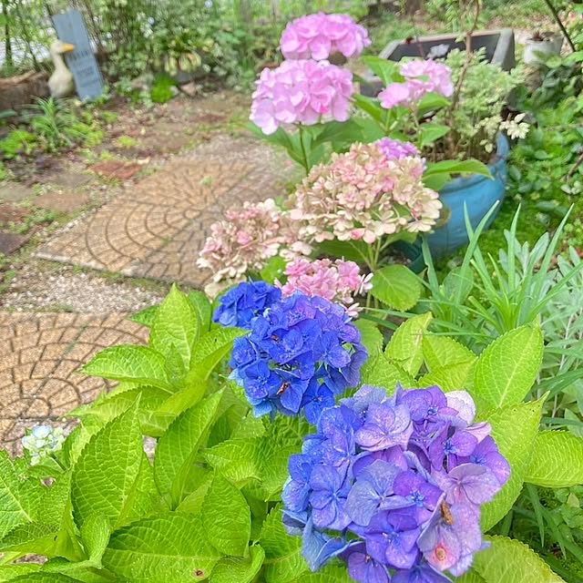 min_nimさんの実例写真
