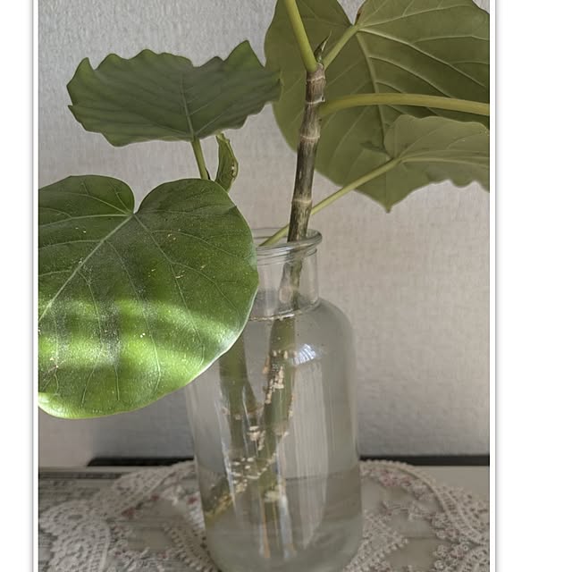 monnさんの部屋