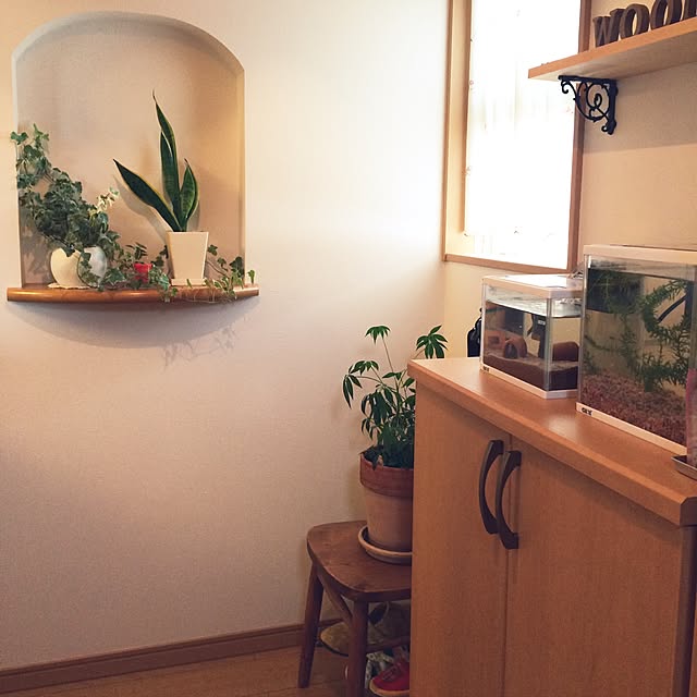 hamasaさんの実例写真