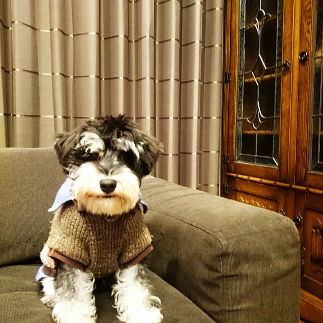littletree1107さんの実例写真