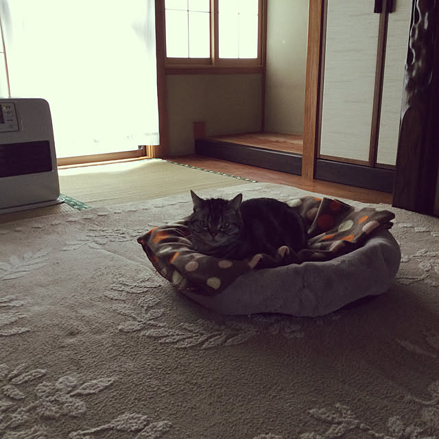 richanさんの実例写真