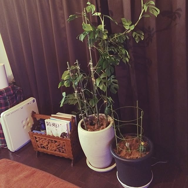 acoさんの実例写真
