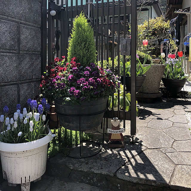 実例写真