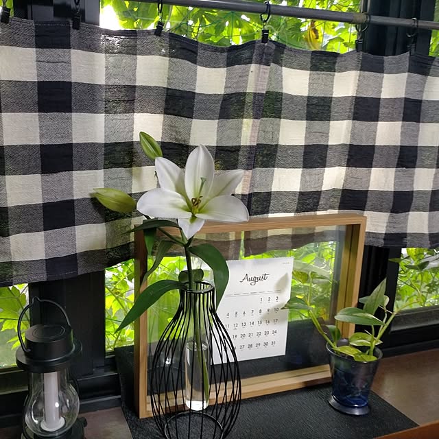 michiさんの実例写真