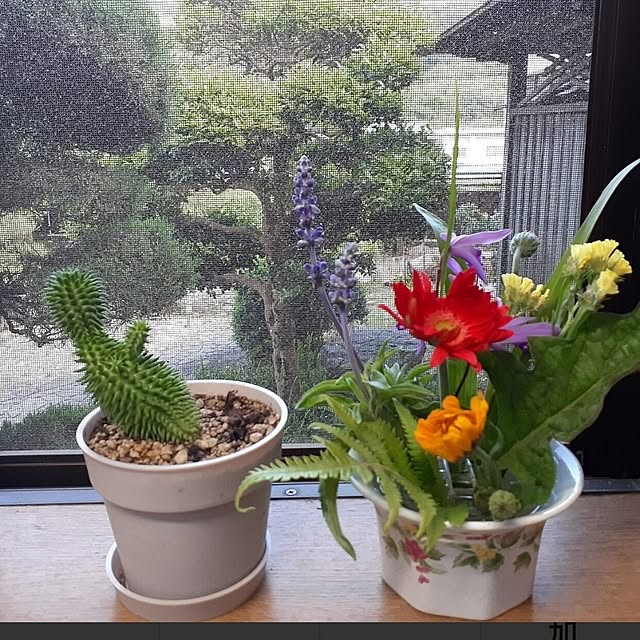 kuririnmamaさんの部屋