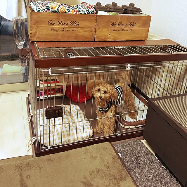 kazuさんの実例写真