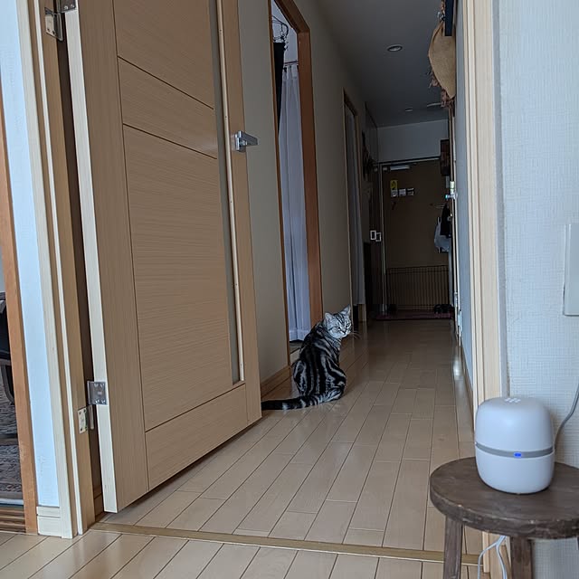 lovepeaceさんの実例写真