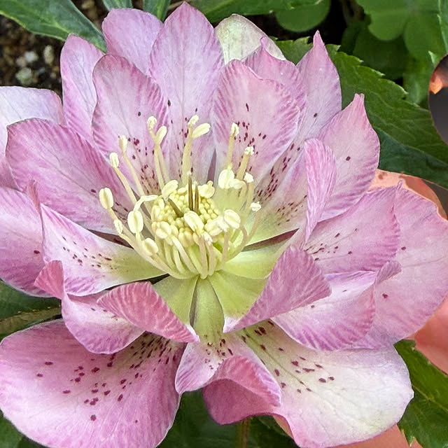 buchiさんの部屋