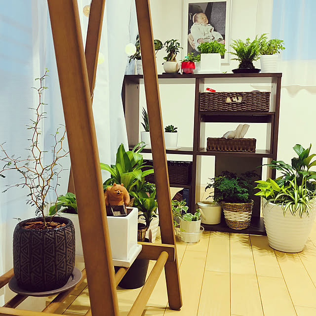 お久しぶりです/アジアンテイストにしたい/ジャングルにしたい/自室を頂いたので/シンプルが好き...などのインテリア実例 - 2019-07-22 14:27:12