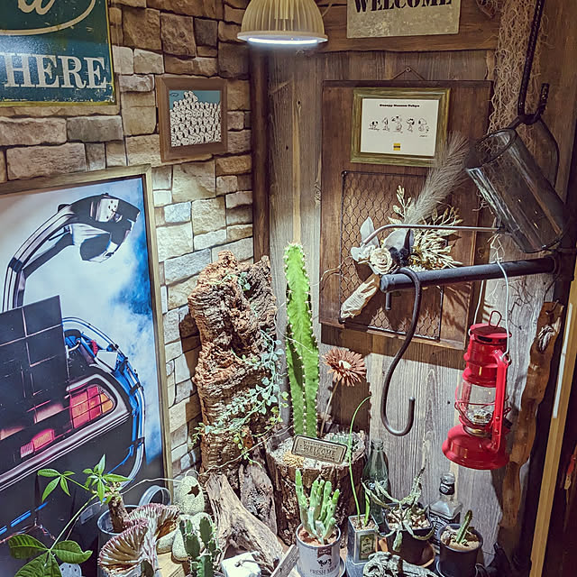 GINさんの実例写真