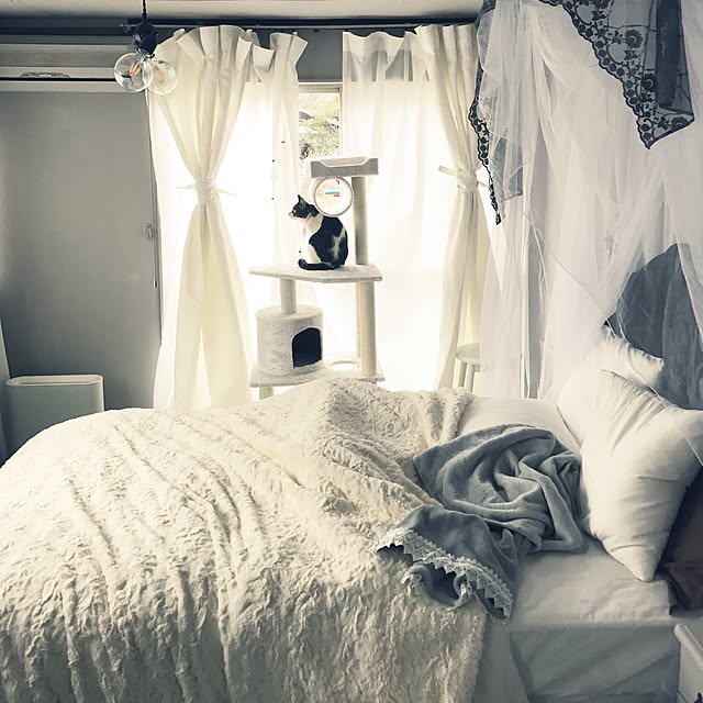 Shihoさんの実例写真