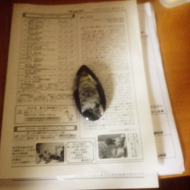 chauさんの実例写真