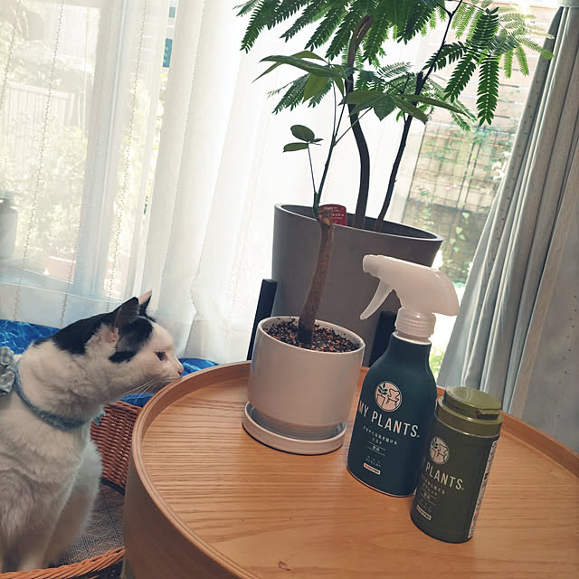 yuuさんの実例写真