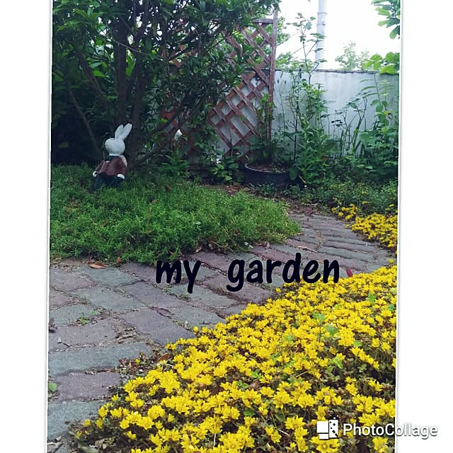 kikusukeさんの実例写真