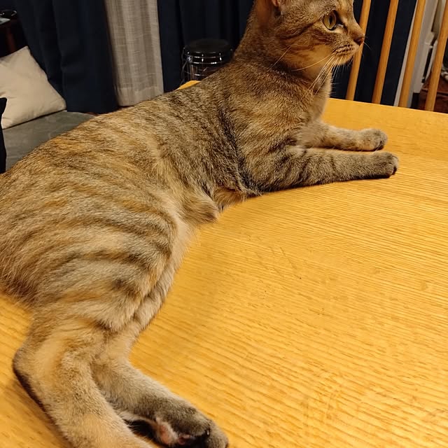 mamekoさんの部屋