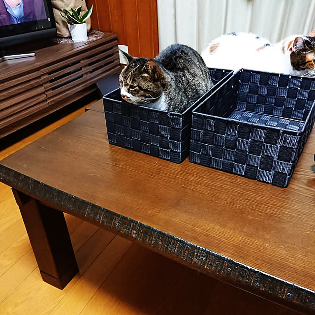 nachiさんの実例写真