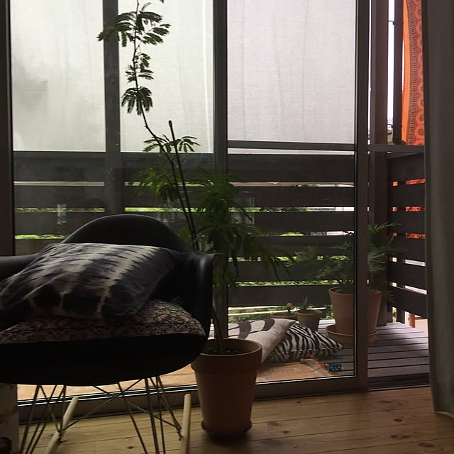 tomo-bbさんの実例写真