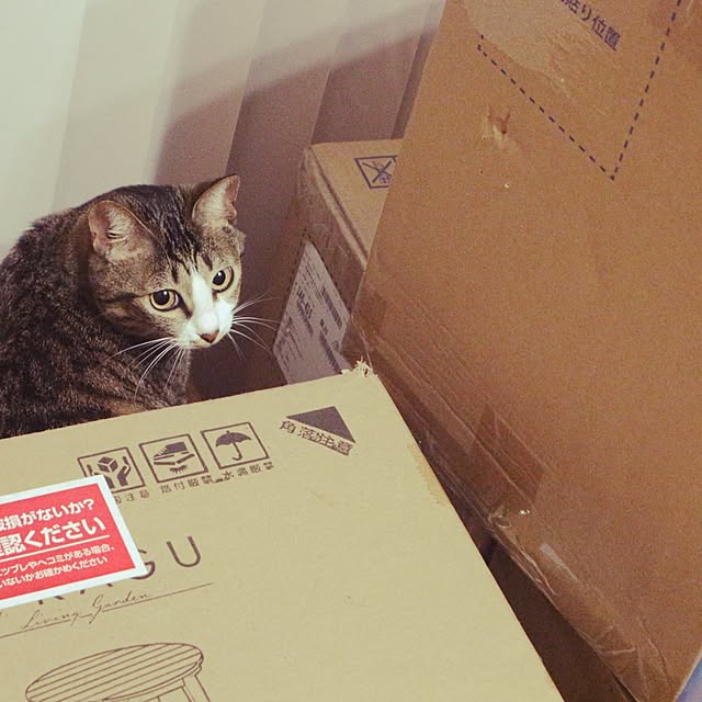 hanacocoさんの部屋
