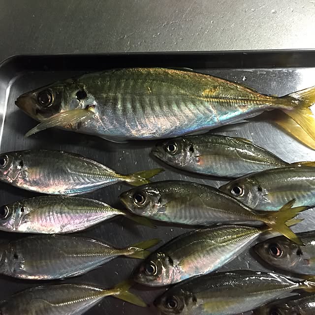 moririnさんの実例写真