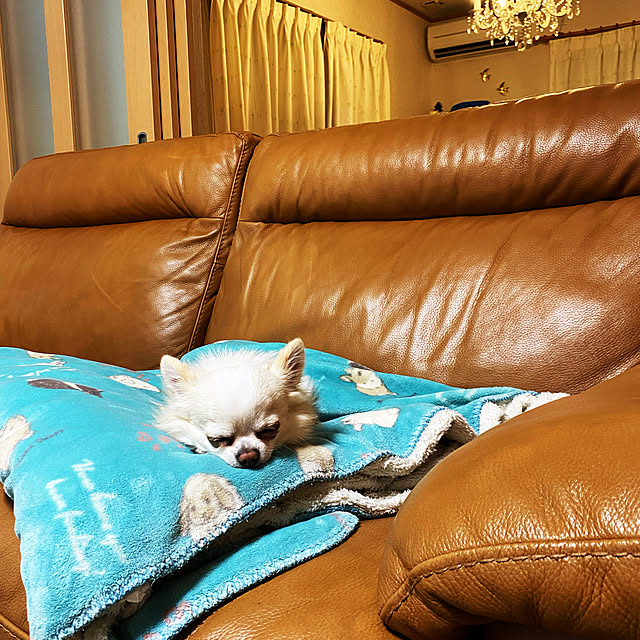 Hananaさんの実例写真