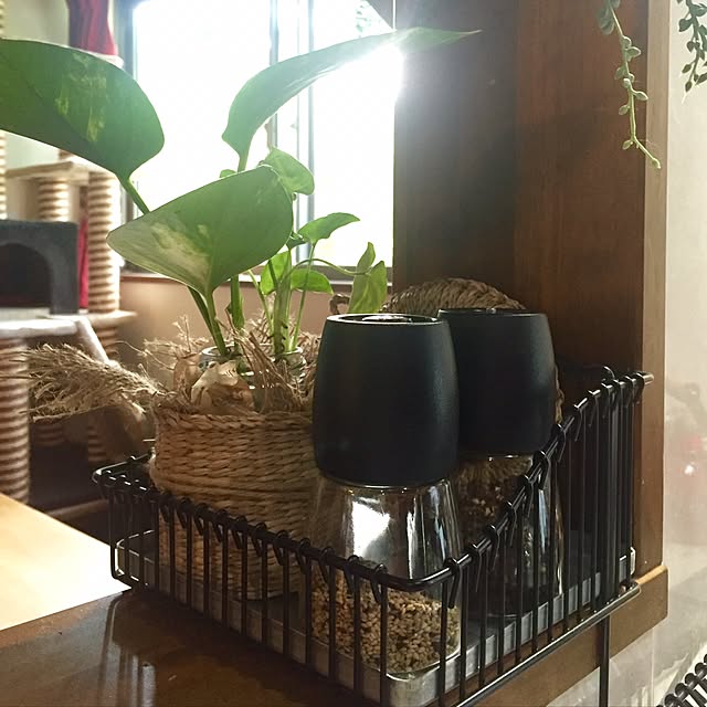 butachanさんの実例写真
