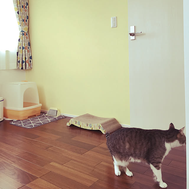 mimooさんの実例写真