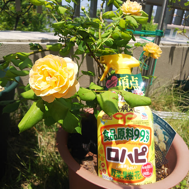 hiromimiさんの実例写真