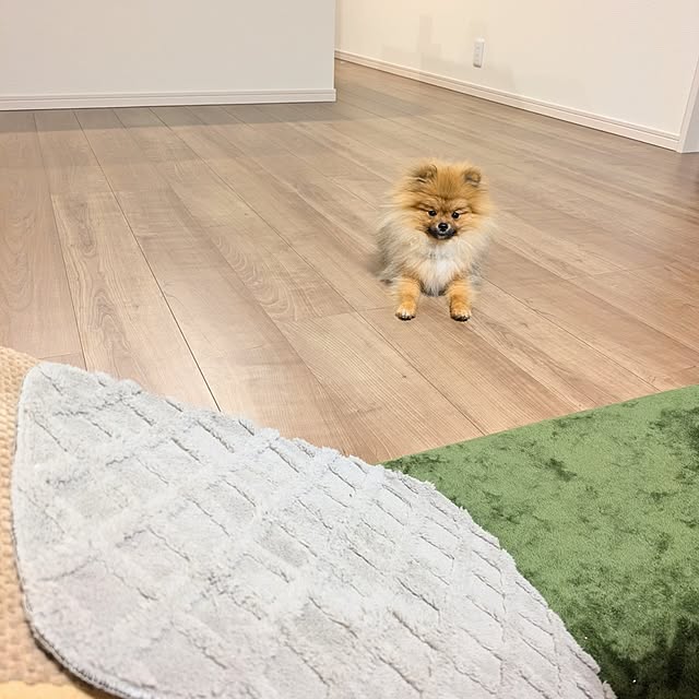 avovo7さんの実例写真