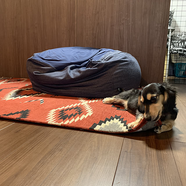 Yuchikoさんの実例写真