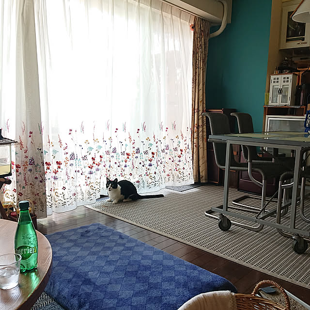 okyosan101さんの実例写真
