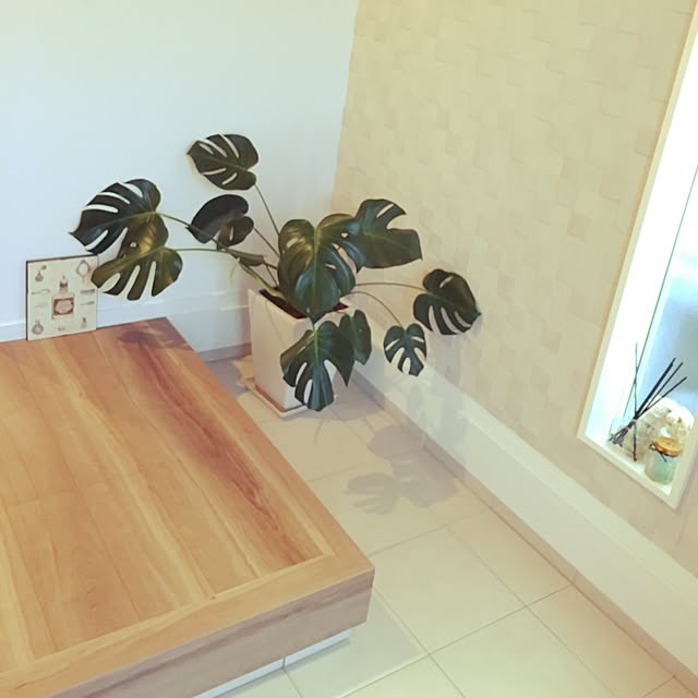 実例写真