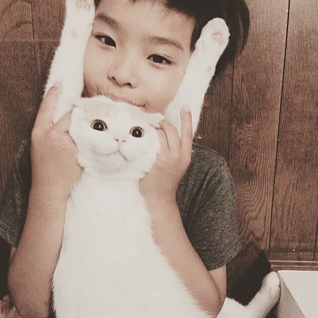onojiijiさんの実例写真