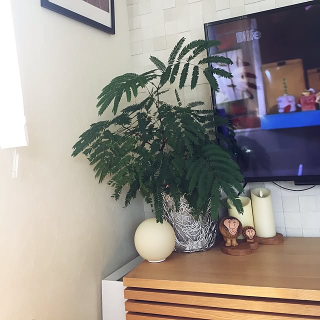mihaaさんの実例写真