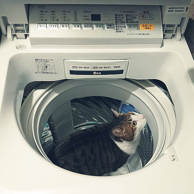 nachiさんの実例写真