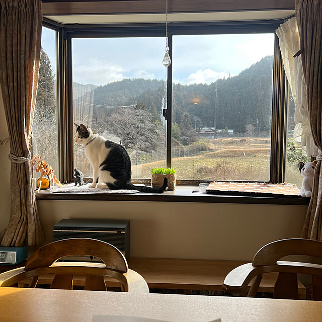 kuzumeganeさんの実例写真