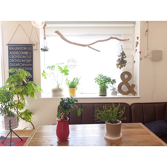 hara0707さんの実例写真