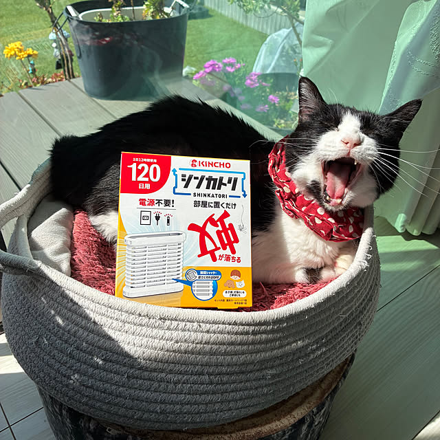 mikenekoさんの部屋